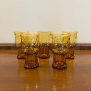 Set of 5 Vintage Libbey Country Garden Amber 12 oz. Floral Cooler Glasses